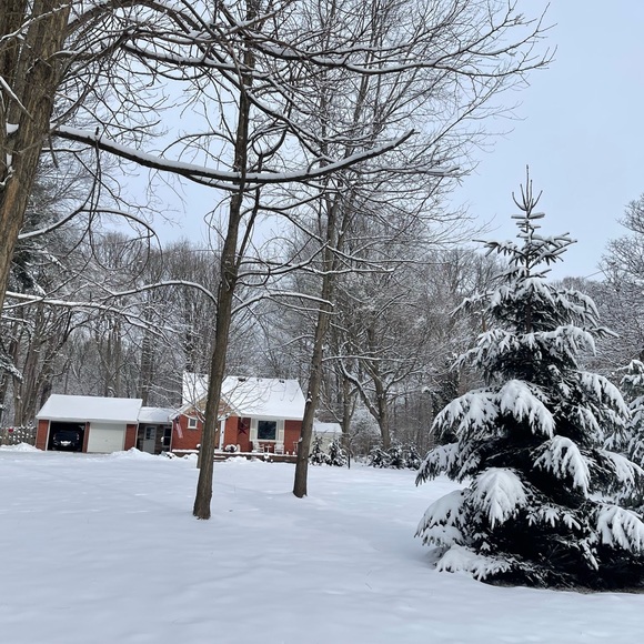 Meet your Posher, Gina - Picture 5 of 5